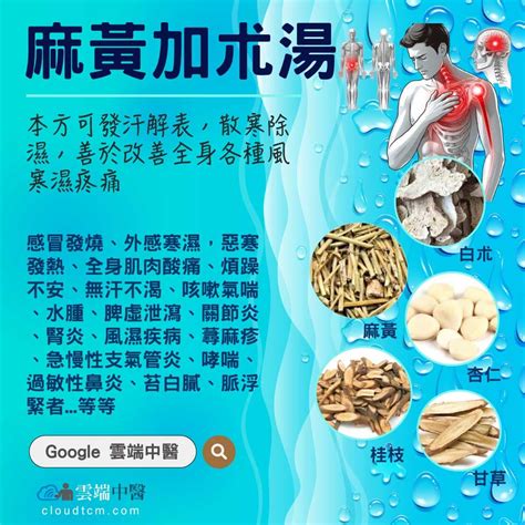 麻黃加朮湯|醫砭» 常用方劑(869方) » 麻黃加朮湯